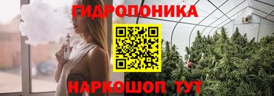 дурь Можга
