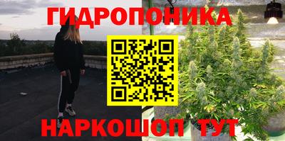 дурь Можга