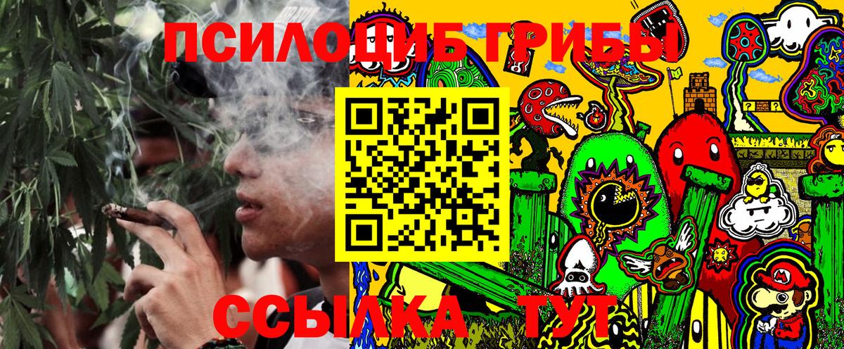 Псилоцибиновые грибы Magic Shrooms Чернушка