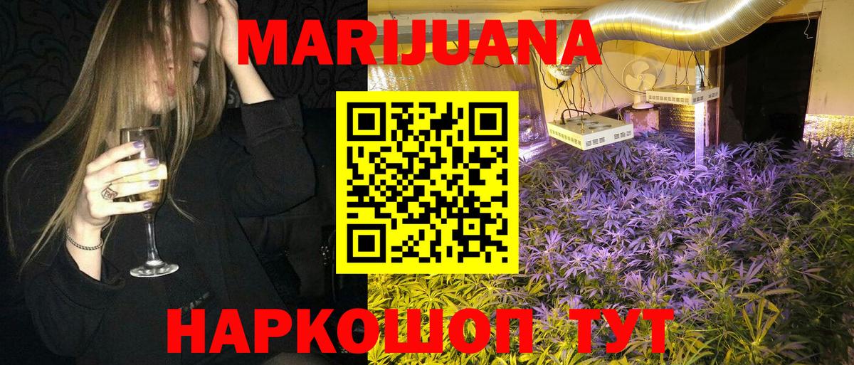 МАРИХУАНА сатива Чернушка